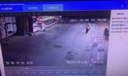 鱼爆料的视频大全集