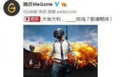 旭升吃鸡手册爆料最新,揭秘最新游戏攻略与技巧解析